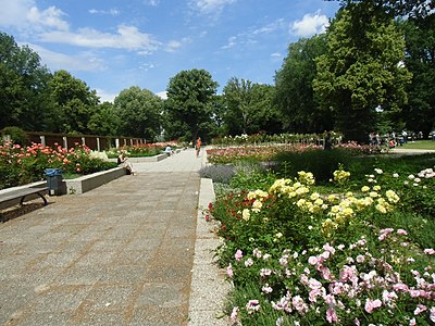 Jardín de rosas de Treptower Park, cerca de Abteibrücke.