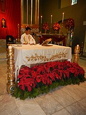 A dozen poinsettias sit on the ground in front of an altar draped in white. A priest vested in white stands behind the altar.