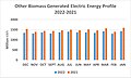 Other Biomass Generated Electric Energy Profile 2022-2021