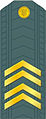 Ukraina - ukr. старший сержант