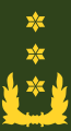 Luitenant-generaal[36] (Angkatan Darat Kerajaan Belanda)