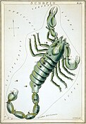 The constellation Scorpius, depicted in Urania's Mirror as "Scorpio", London, c. 1825
