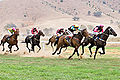Tambo Valley Horse Races