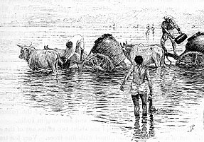 Watercarts in Sabarmati near Ahmedabad in 1890s