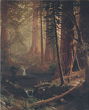 Giant Redwood Trees of California, 1874, Berkshire Museum, Massachusetts