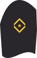 Dienstgradabzeichen eines Seekadetts (nicht Sanitätsoffizieranwärter) auf dem Oberärmel der Jacke des Dienstanzuges für Marineuniformträger