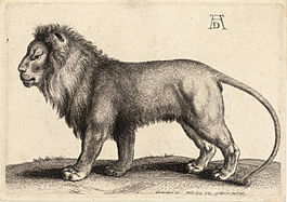 Um leão em pé