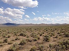 Estepa de artemisa en el noreste de Nevada a lo largo de la carretera US 93 en los Estados Unidos de América.