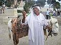 Un vello árabe de Israel.