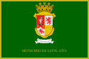 レオンの市旗