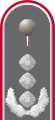 Dienstgradabzeichen eines Oberst i. G. auf Schulterklappe der Jacke des Dienstanzuges für Heeresuniformträger