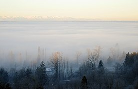 Brouillard de vallée causé par une inversion.