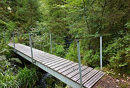 Steel footbridge over Böser Ellbach stream, Black Forest, Germany