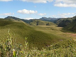 Dzüko Valley (Borders of Nagaland and Manipur)