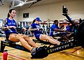 Several indoor rowers