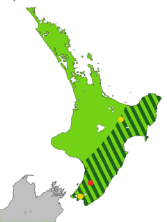 Mapa da ilha Norte da Nova Zelândia. Área original (verde claro) e em 1840 (listras escuras). Local do último avistamento confirmado (vermelho) e de relatos posteriores não confirmados (amarelo).