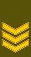 Lietuva - liet. vyresnysis seržantas (OR-6)