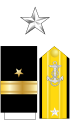 美国海军准将肩章及袖章