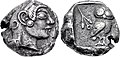Moneta di Atene (500/490-485 a.C.) rinvenuta a Pushkalavati (attuale Pakistan)