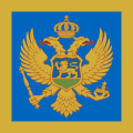 黑山海军（英语：Montenegrin Navy）舰艏旗
