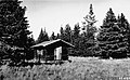 Kendrick Lookout Cabin, construite en 1911 dans le forêt nationale de Kaibab.