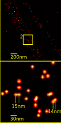 Microscopia de super.resolución: Detección dunha molécula de YFP única nunha célula de cancro humana. As medidas de distancia típicas están no rango dos 15 nm (medido cun microscopio Vertico-SMI/SPDMphymod).