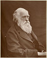 Charles Darwin (12 frevâ 1809-19 arvî 1882), 1874
