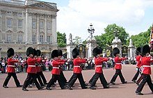 Lines of men wearing large black bearskin hats and red tunics.