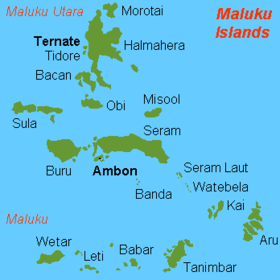 Image illustrative de l’article Ambon (île)