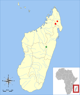 Відомі місця знаходження Voalavo gymnocaudus (червоний) і Voalavo antsahabensis (зелений)
