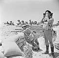 Soldati britannici con l'uniforme "khaki drill", che prevedeva calzoni corti, nella Campagna del deserto occidentale, 1942.