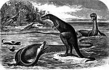Schools of fish mill around a large sea creature; the animal's long neck twists around itself. Its arrow-shaped head is lined with needle-like teeth that grasp a fish. Its body has four small flippers, which lead back to a shorter tail.