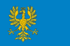 Flag of Cieszyn Silesia