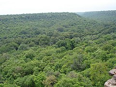 Hinglajgarh Forest in Madhya Pradesh