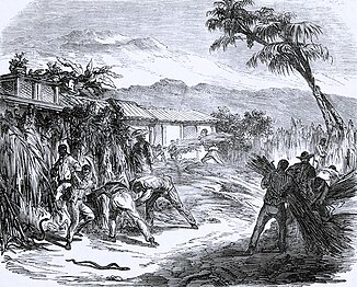 Une plantation à La Réunion.