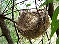 A basket style nest