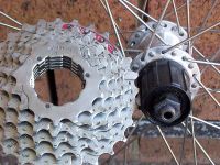 Matching splines of a bicycle cassette and freehub with a master spline visible at the top