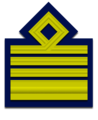 distintivo di grado per paramano di colonnello dell'Aeronautica Militare