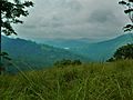 The misty mountain ranges of the Periyar region