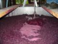 Image 21A cap of grape skins forms on the surface of fermenting red wine (from Winemaking)