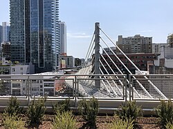Cable-stayed bus bridge, viewed from the rooftop park