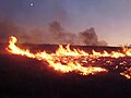 Image 46Lightning-sparked wildfires are frequent occurrences during the dry summer season in Nevada. (from Wildfire)