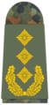 ドイツ連邦軍陸軍中将（Generalleutnant）
