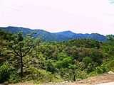 Kunihar valley Solan