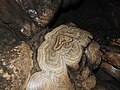 Bark like formation in Mawsmai Caves