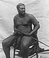 Image 37King Cetshwayo (ca. 1875) (from History of South Africa)