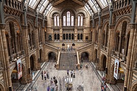 The Natural History Museum, London