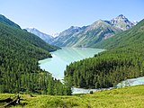 Lago Kucherla nas Montanhas Altai.