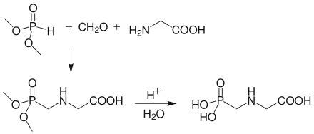 Glyphosate synthesis from dimethyl phosphite