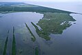 Image 9Aerial view of Louisiana's wetland habitats (from Louisiana)